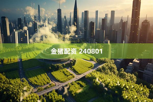 金猪配资 240801