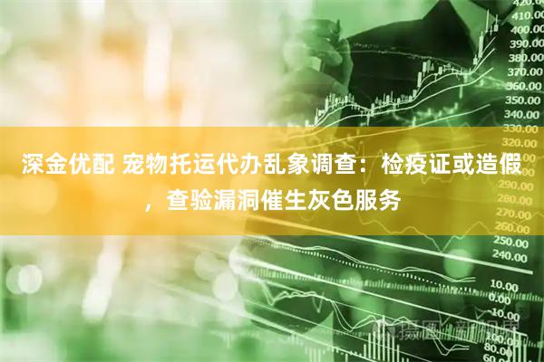 深金优配 宠物托运代办乱象调查：检疫证或造假，查验漏洞催生灰色服务