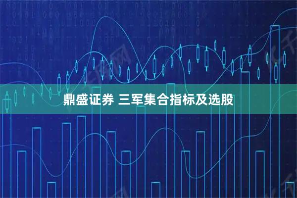鼎盛证券 三军集合指标及选股
